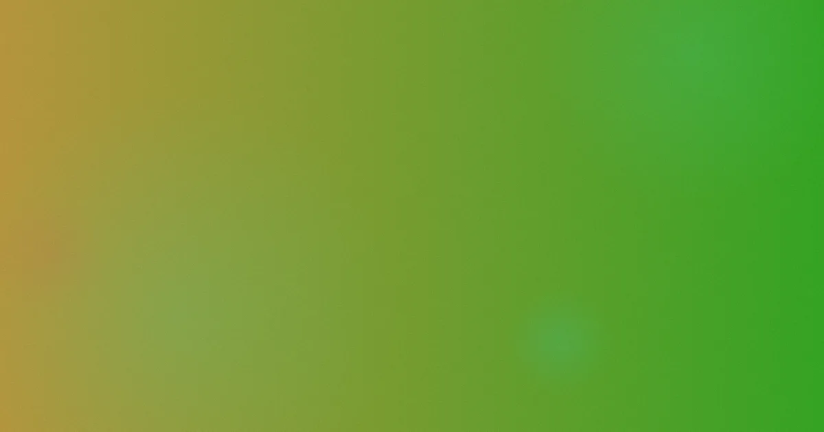脏脏的交易推荐新手看